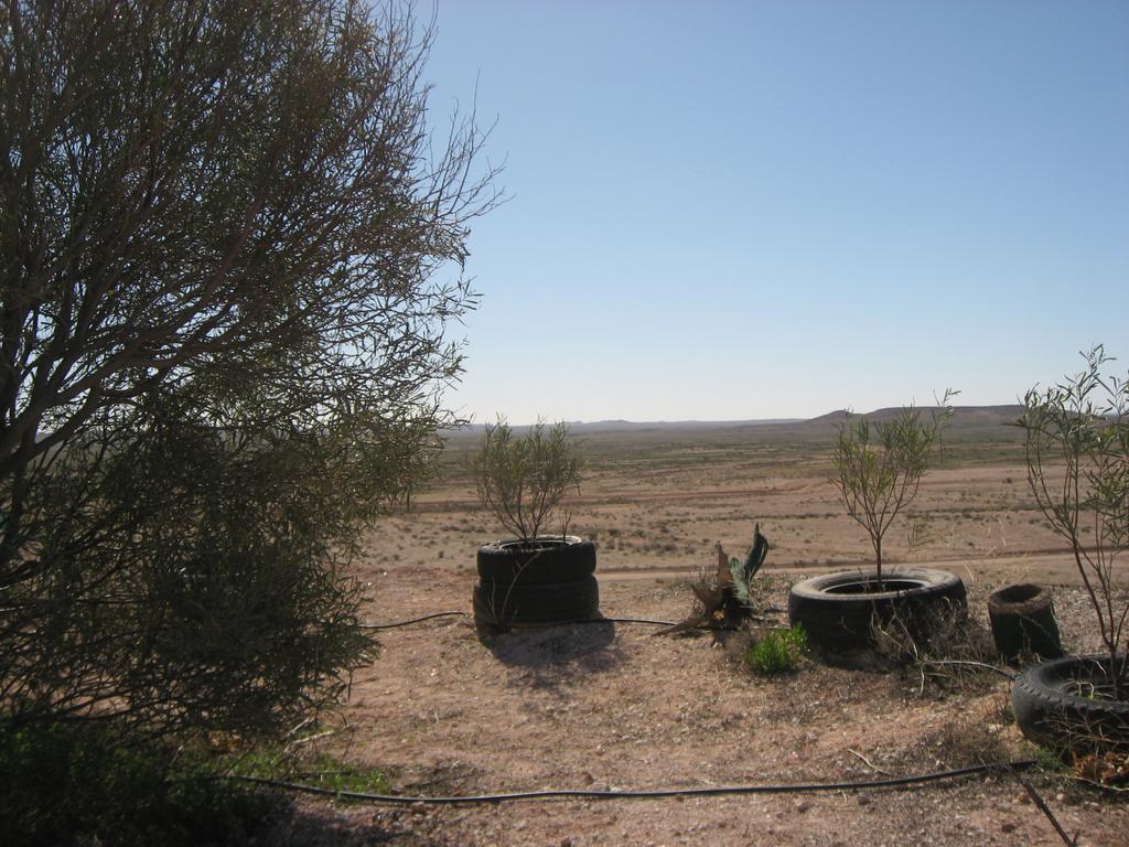 Venushill B+B Coober Pedy Εξωτερικό φωτογραφία